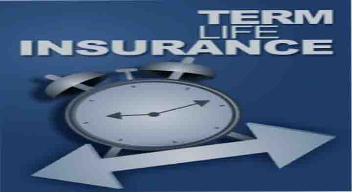 Best Term Life Insurance Companies in USA