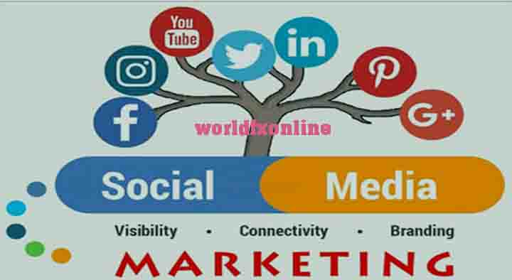 Top Social Media Marketing Agency  in The United States