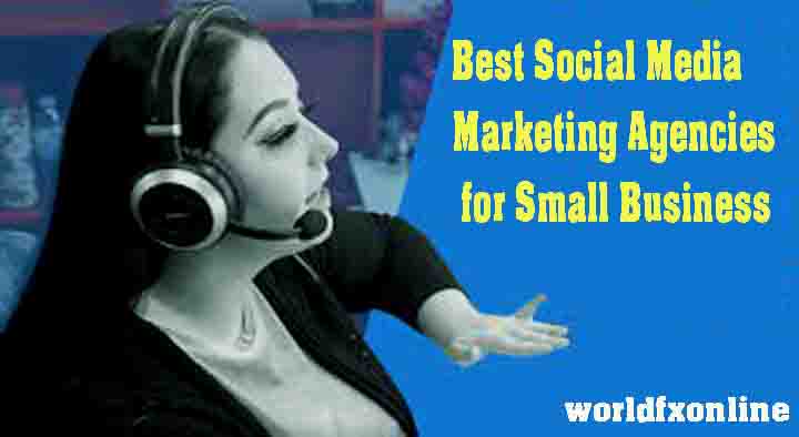 Best Social Media Marketing Agency for Small Business
