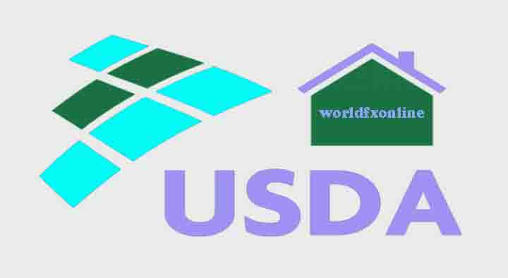 What Is an USDA Home Loan?