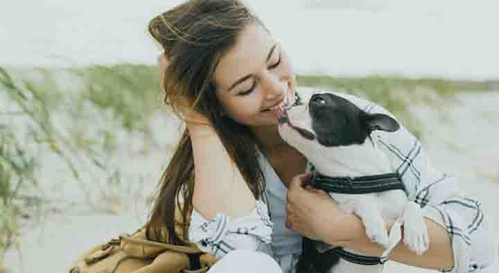 Best Pet Insurance California for Dogs & Cats