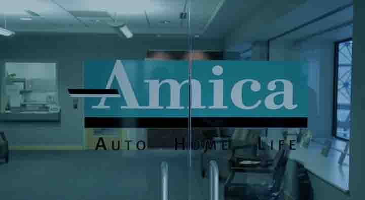 Amica Auto Insurance Reviews Reports